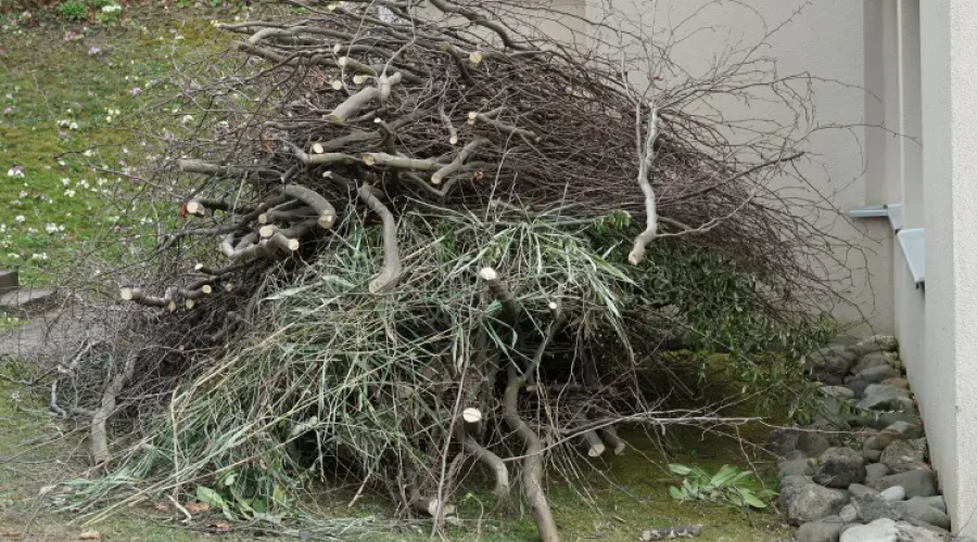 Pile of tree limbs and sticks next to a beige home.