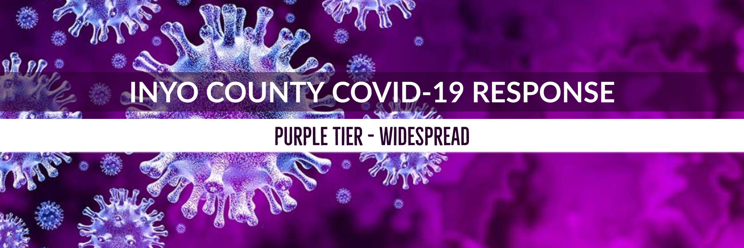 Purple Tier