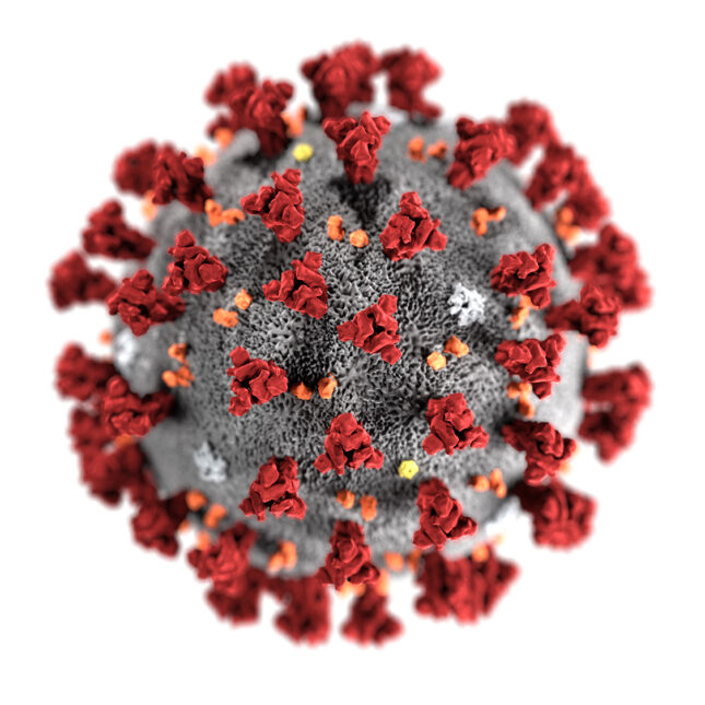image of Coronavirus