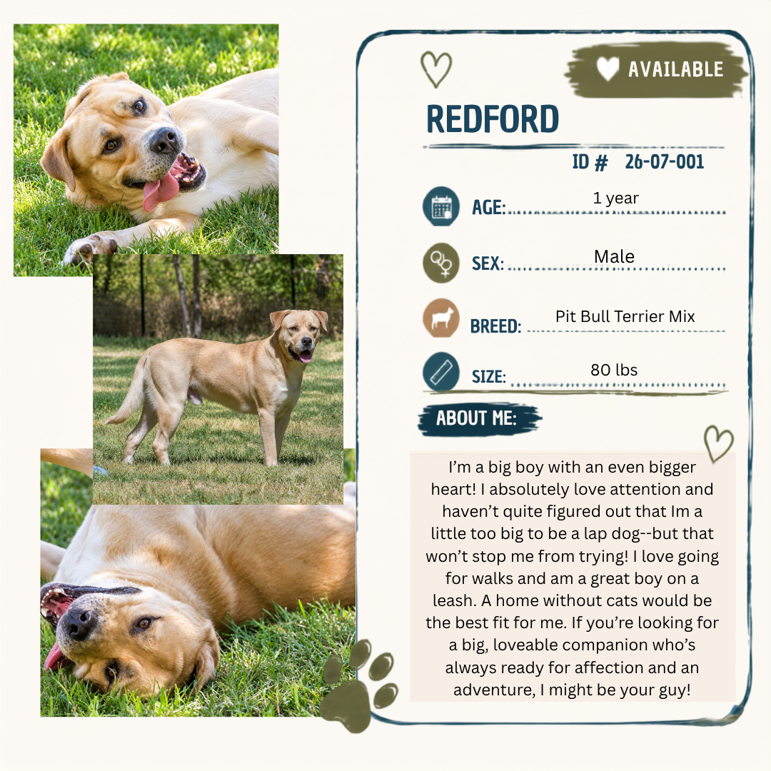 Redford bio