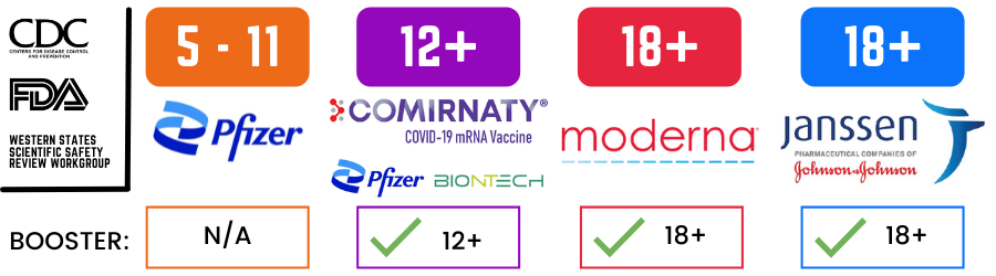 COVID-19 Vaccines