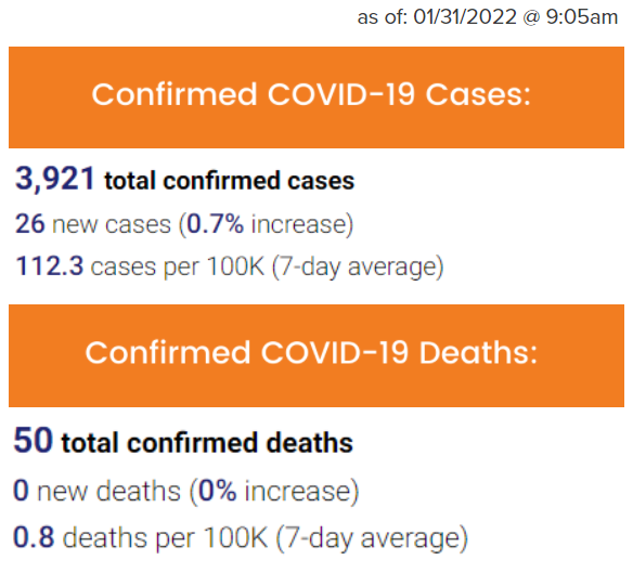 Cases and Deaths - 01.31.2022