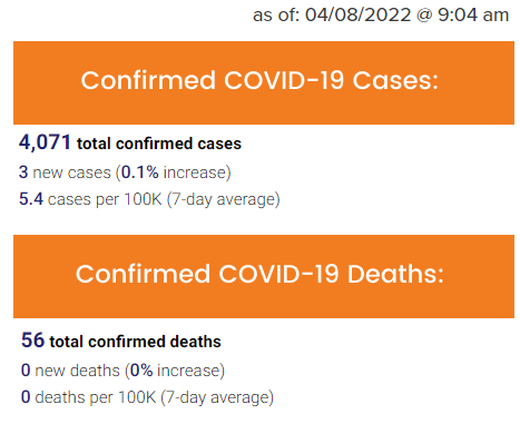 Cases and Deaths - 04.08.2022