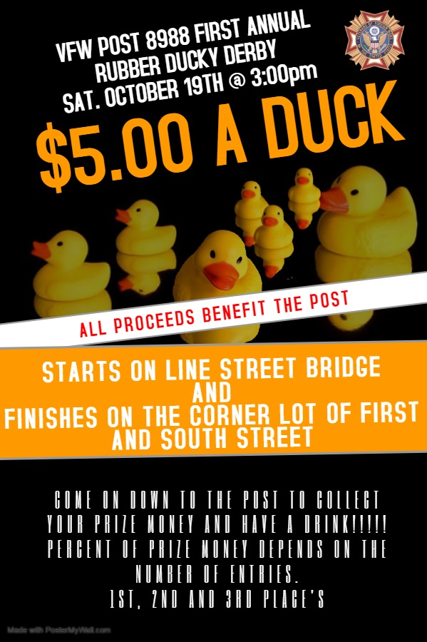 VFW Rubber Ducky Derby