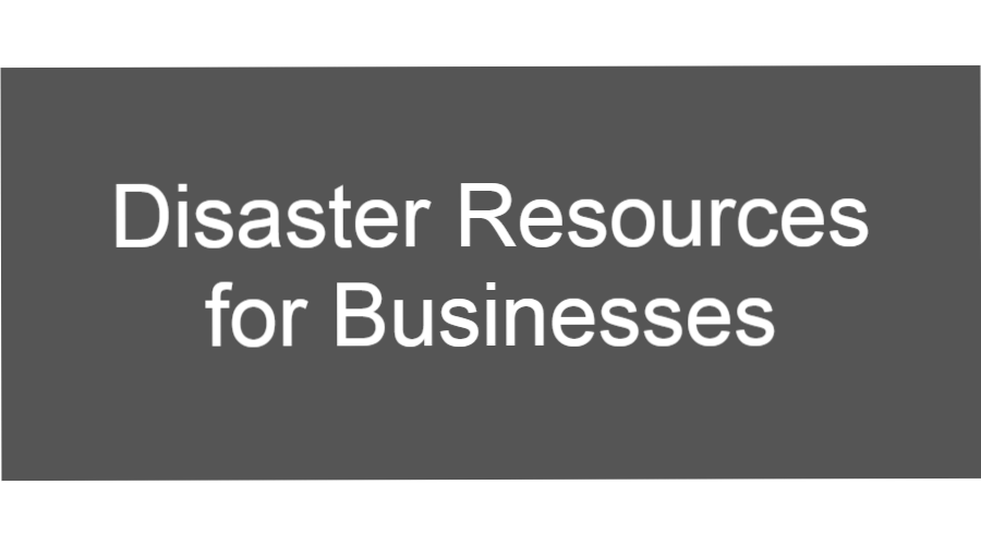 Disaster Relief for Businesses