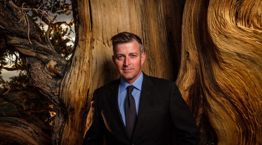 Man in suit standing in front of large bristlecone tree.