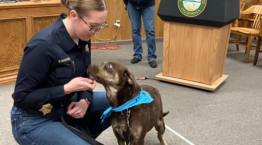 A woman in a uniform kneels in front of a brownish dog wearing a blue bandana while two women in the background watch.
