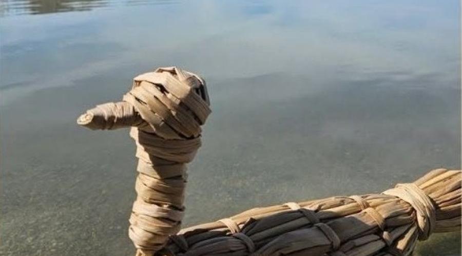 Tule duck floating on Owens Lake