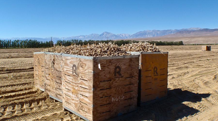 Inyo County Ag-Business