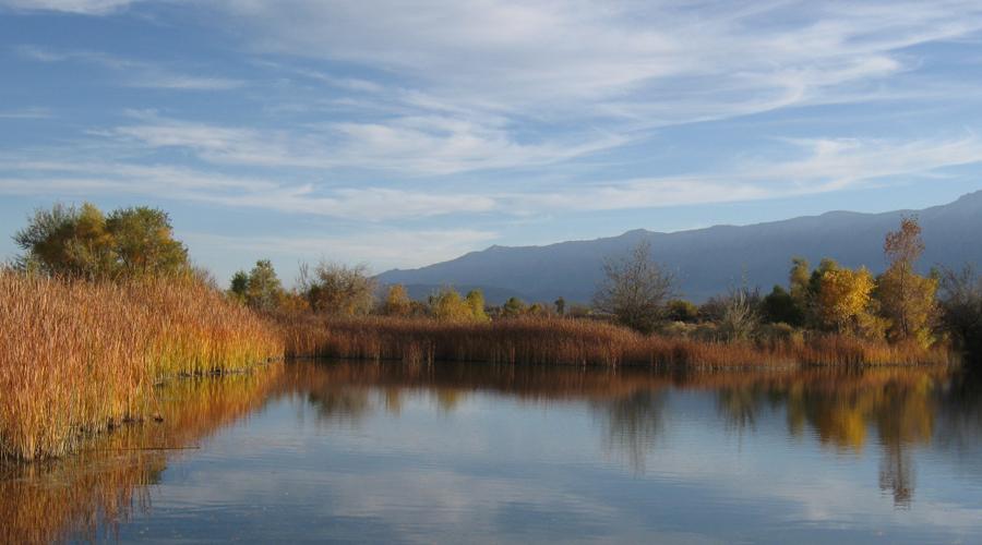 Inyo County Billy Pond