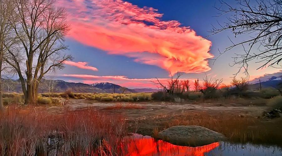 Inyo County Reflecting Pond