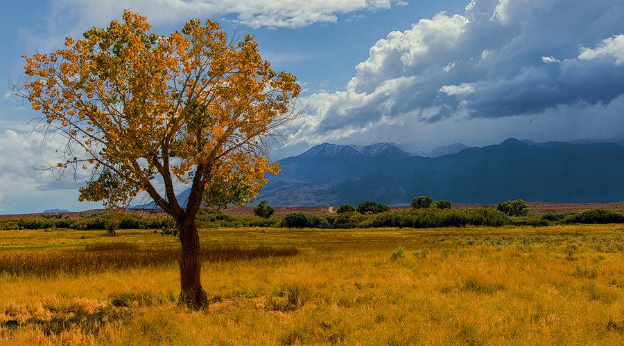 Inyo County