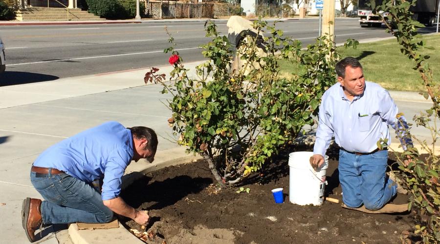 Man crouch and man on his knees in flower bed planting flower bulbs