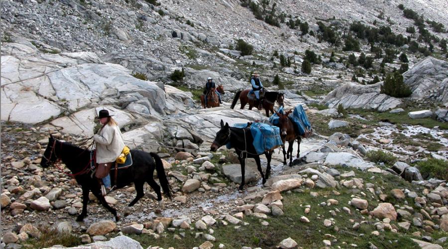 Bishop Pack Station, Piute Pass