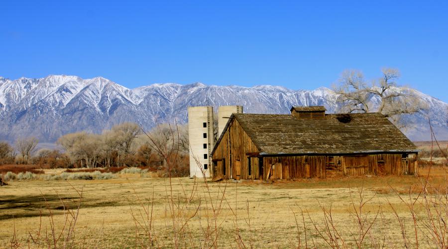 Old Barn and Silos