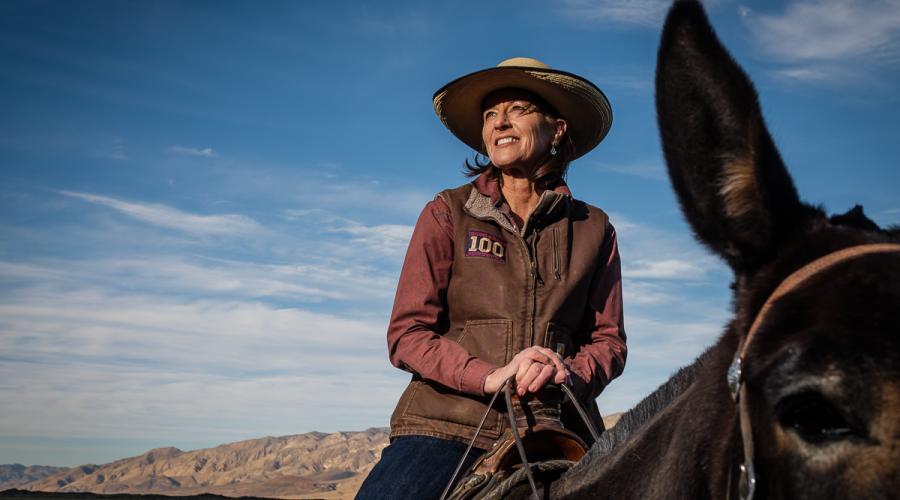 Woman in Cowboy Hat Riding Mule with Blue Sky in Background