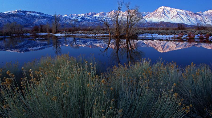 Sage brush, pond, and snowy mountains.