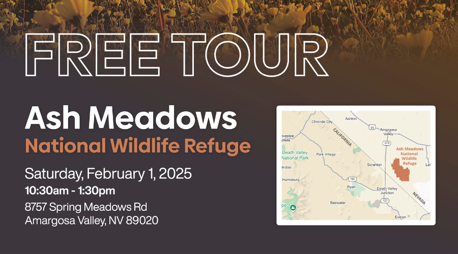 Poster for Ash Meadows National Wildlife Refuge Tour, February 1 2025