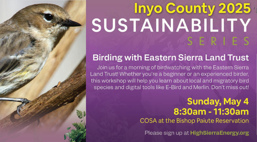 Inyo County 2025 Sustainability Series - Birding event
