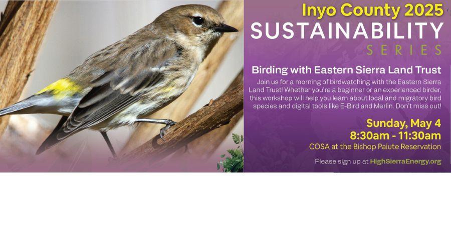 Inyo County 2025 Sustainability Series - Birding