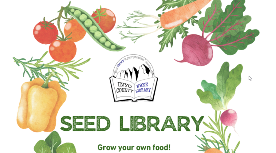 Seed Library