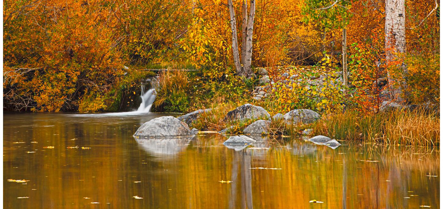 Fall Colors at Bishop Creek