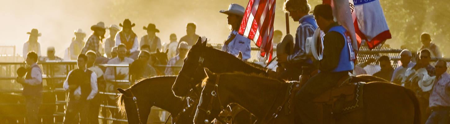 Horses and flags