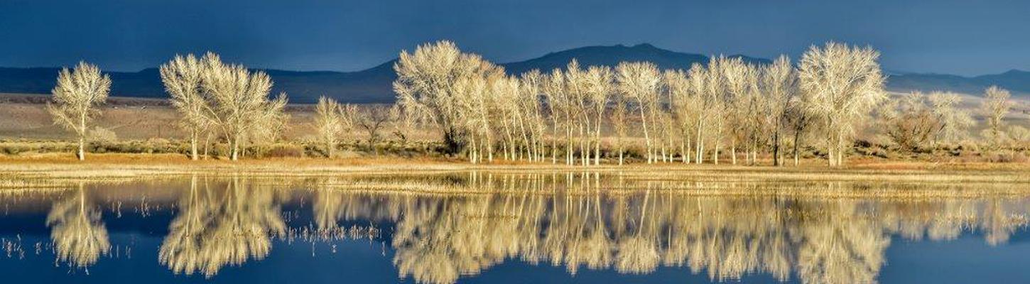 Lake Reflection