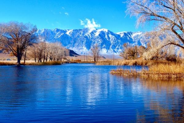 Picture of the pond at Millpond Recreational Area