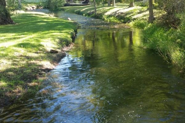 Picture Izaak Walton Park Creek