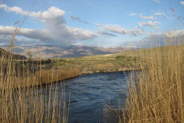 Picture of the Owen's River 