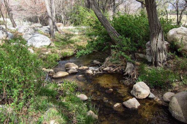 Picture of creek at Baker Creek Campground