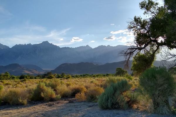 Lone Pine view