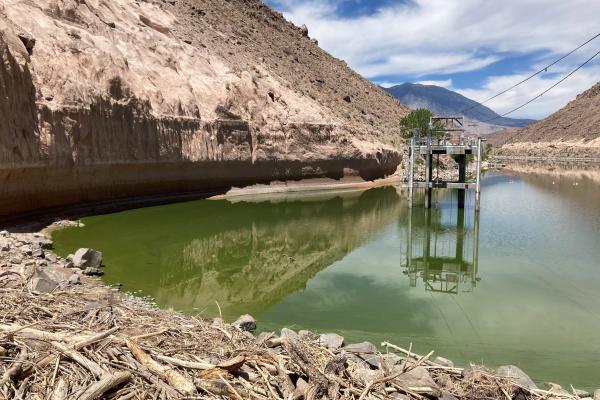 The photo shows the 'spilled paint' appearance of an active bloom in Pleasant Valley Reservoir.