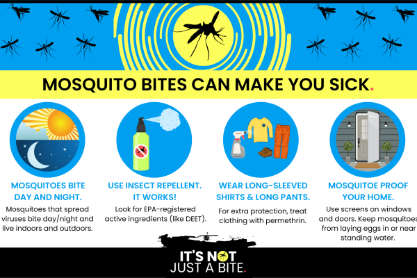Mosquitos Can Make You Sick