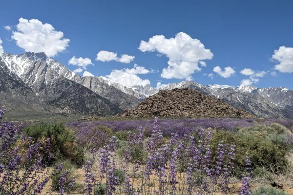 Image of Mount Whitney with Kick It CA Links